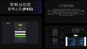 피엑스지 (PXG)