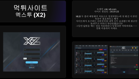 엑스투 (X2)