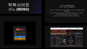 리노 (RENO)
