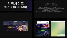 빅스타 (BIGSTAR)