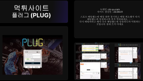 플러그 (PLUG)