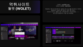 월벳 (WOLET)