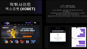 엑스오벳 (XOBET)