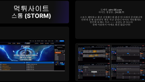 스톰 (STORM)