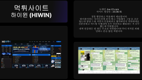 하이윈 (HIWIN)