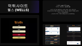 웰스 (WELLS)