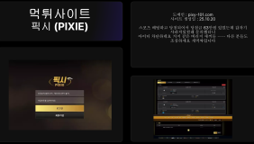 픽시 (PIXIE)