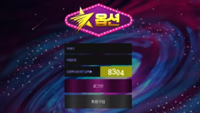 옵션 (OPTION)