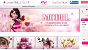 모델 (MODEL)